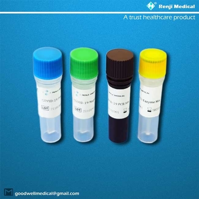 Aprobación en tiempo real del método ISO13485 de Renji Nucleic Acid Testing Kit RT-PCR
