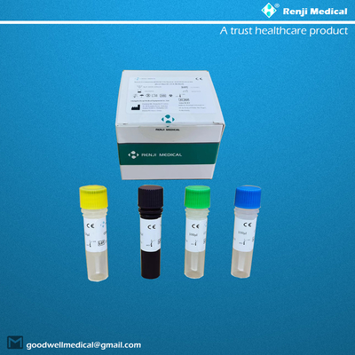 Prueba cualitativa Rt PCr del CE del equipo de prueba del ácido nucleico del nuevo coronavirus COVID-19