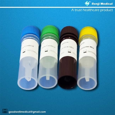 Certificación del SGS de ORF1ab/N Gene Novel Coronavirus Testing Kit