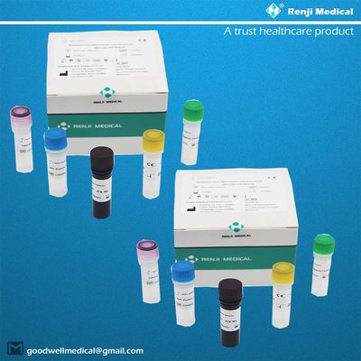 Kit de detección de ácido nucleico del virus de la viruela del mono (MPV) Kit de prueba rápida para el hogar Kit de PCR en tiempo real